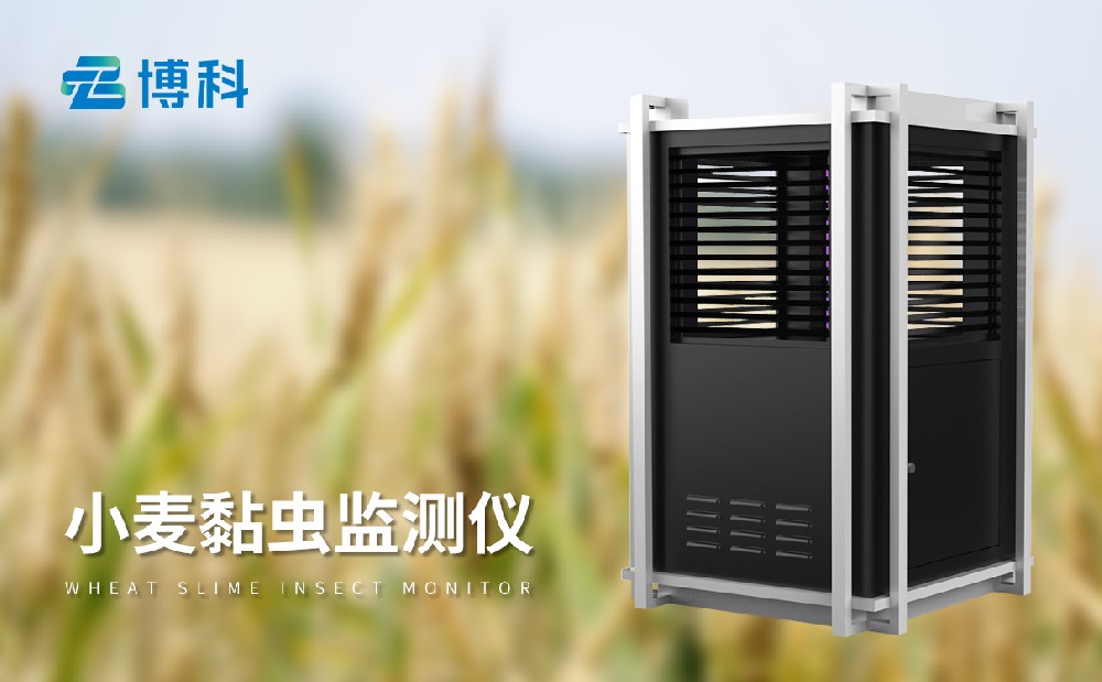 山東博科儀器小麥害蟲監(jiān)測(cè)設(shè)備介紹